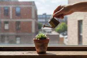 Green resolution : votre guide pour un quotidien plus écolo